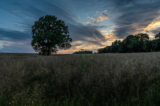Landscape in Upper Lusatia- sunset near Weifa