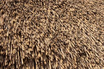 Close up view of reed thatch