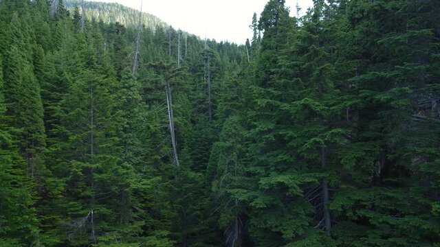 An overhead, pull back reveal of a waterfall in a forest