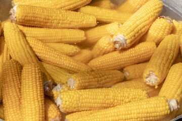 Fototapeta na wymiar Corn cobs boiling in hot water