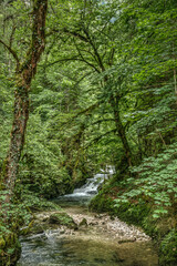 Le Dessoubre dans le cirque de Consolation &agrave; Consolation-Maisonnettes, Doubs, France
