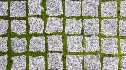 The texture of the paved tile of the street. Concrete paving slabs. Paving slabs. Grass between the...