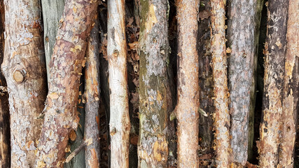 Firewood on big pile , top view, beautiful wooden logs. background of stacked logs top view from the drone. pile stacked natural sawn wooden logs background