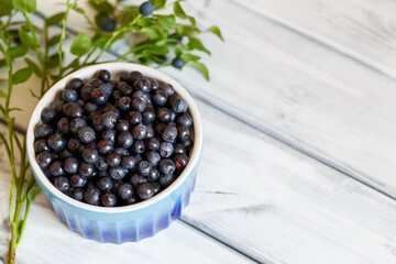 Blueberries in a cup on the background of a blurred green branch with berries. A place to copy. Selective focus