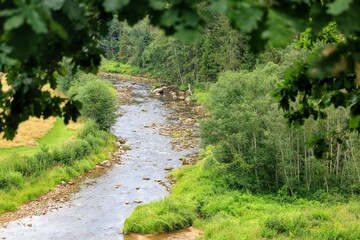 Fototapeta na wymiar river in the woods