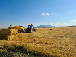 Fototapeta na wymiar Tractor harvesting straw, straw field, straw bale