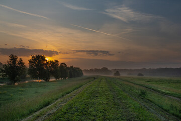 Fog and river Dyje with orange sunrise near Bulhary village in south Moravia