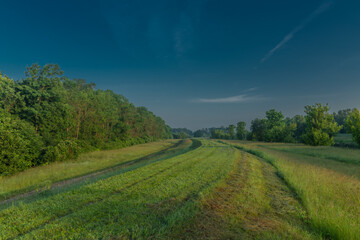 Fog and river Dyje with orange sunrise near Bulhary village in south Moravia