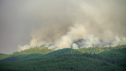 Wildfires in Milas, in Turkey