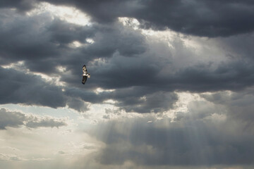 Buse variable et ciel dramatique