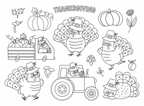 Vector black and white Thanksgiving turkey set. Autumn birds line icon. Fall holiday outline animal in pilgrim hat pack. Line gobblers driving a car with pumpkins, tractor, sleeping, running..