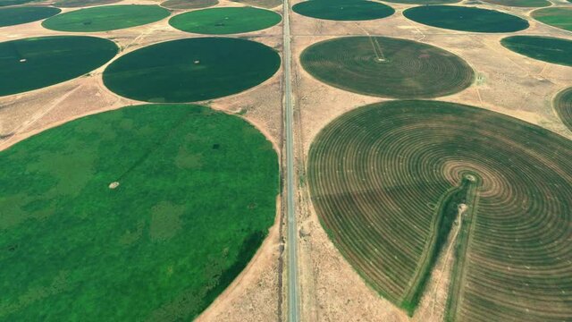 Aerial view of center-pivot-irrigation also called water wheel and circle irrigation is a method of growing crop in which equipment rotates around a pivot and are watered with sprinklers 4k animation