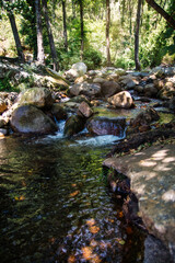 Fototapeta na wymiar Beautiful Landscape Of Nature Without People With A Small River Or Stream. Charming Place In Forest, Surrounded By Trees, Rocks And A Stream. Garganta La olla, Cáceres, Spain