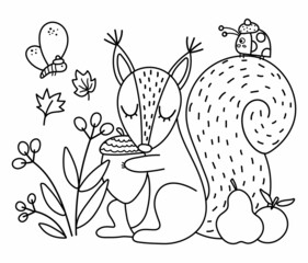 Black and white squirrel with acorn insects, fruits. Vector outline autumn scene with adorable animal. Fall season woodland scenery or coloring page. Funny forest line illustration..