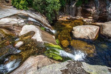 Streams Of Water Surrounded By Rocks And Small Waterfalls. River With Moving Water, The Trees Are...
