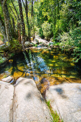 Beautiful Landscape Of Nature Without People With A Small River Or Stream. Charming Place In ...