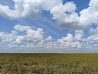 Obraz premium a walk in the ecopark