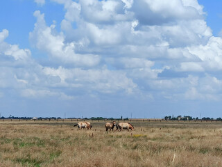 Fototapeta premium a walk in the ecopark