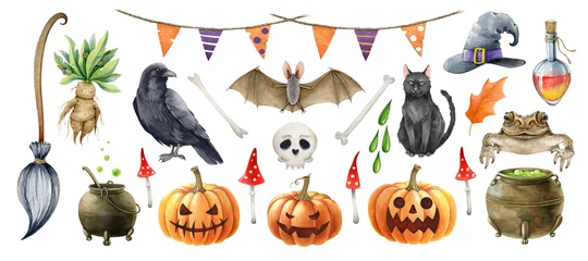 Foto op Canvas Halloween symbol single element set. Hand drawn autumn festive halloween collection. Watercolor toad, garland illustration. Scary Jack head pumpkin, black cat, bat, ghost, broom white background © anitapol