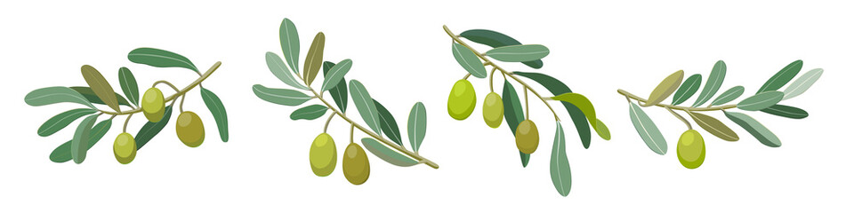 olive branches set