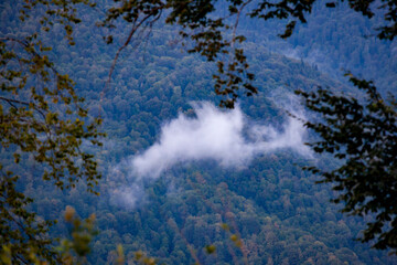 Fototapeta na wymiar a lonely cloud against the background of forest mountains
