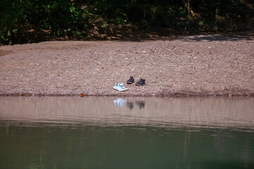 lonely sneakers lying on the riverbank