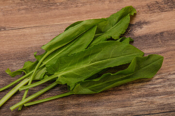 Aroma Fresh green sorrel heap