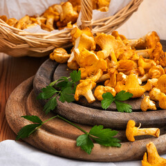 Pfifferlinge oder Eierschwammerl