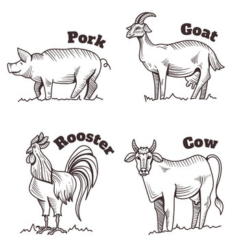 Farm animals lamb rooster piggy cow isolated set. Vector flat cartoon graphic illustration