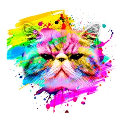 Poster colorful artistic cat muzzle with bright paint splatters on white background. © reznik_val
