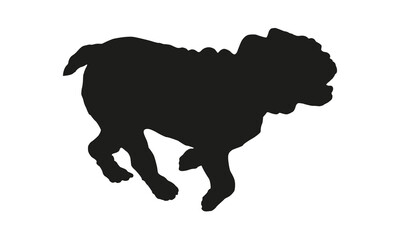 Running english bulldog puppy. Black dog silhouette. Pet animals. Isolated on a white background.