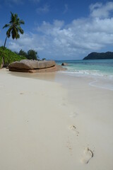 footsteps on the beach