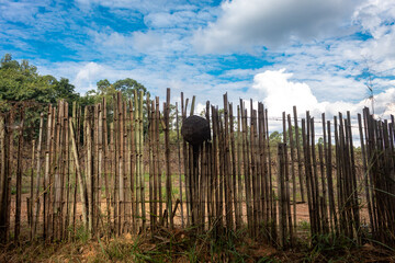 Obraz premium fence in the forest