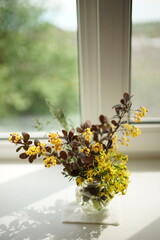 Bouquet of branches barberry bush with blooming yellow flowers in a vase on a sunny windowsill.