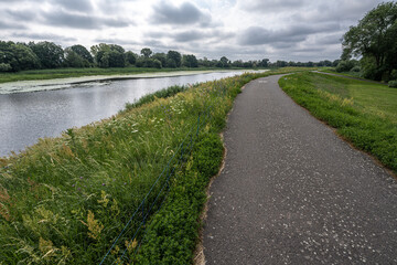 Fototapeta na wymiar Bicycle Trail along the Oder River, Germany
