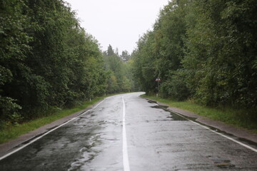 Fototapeta premium дорога