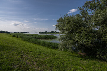 Fototapeta na wymiar Oder River on the German side close to Kienitz
