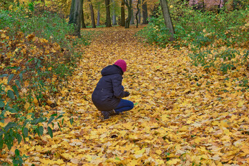 Dywan z kolorowych liści. Jesień barwi liście drzew. Turyści opuścili ścieżki przyrodnicze,...