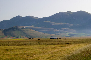 Obraz premium landscape in the and tractor plowing