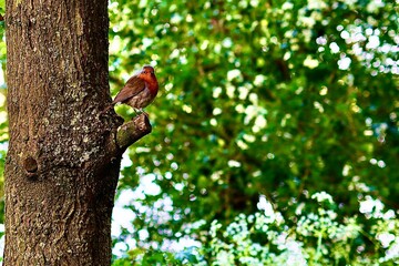 Creative photography 