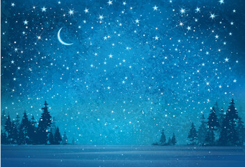 Vector winter wonderland night background.