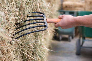 Close up of a farmers hand using a fork to load the wheelbarrow with hay.