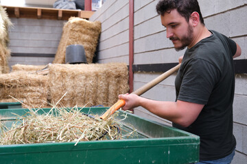 Male farmer using a fork to load the wheelbarrow with hay.