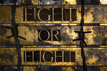 Fight or Flight text with barbed wire on vintage textured grunge copper and gold background