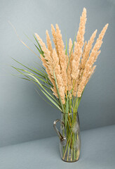 Beautiful bouquet of dry herbs in a glass vase on a gray background