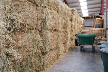 Straw bales stacked in a storeroom.