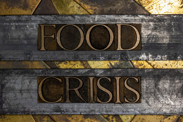Food Crisis text on vintage textured grunge copper and gold background