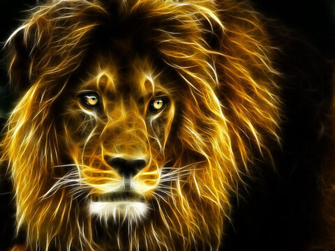the image of the king of beasts. lion