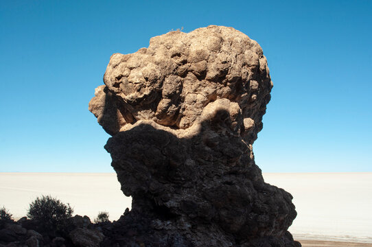 Patate de corail fosil Salar de Uyuna, Bolivie