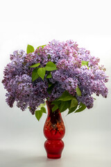 A bouquet of lilacs in a vase. Spring flowers concept